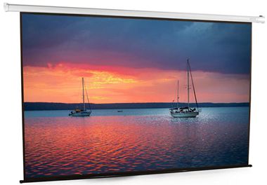 Vivo 100” Electric Projector Screen