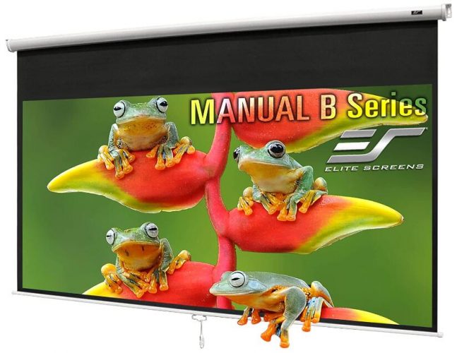 Best Pull Down Projector Screens of 2023 Projector Leader